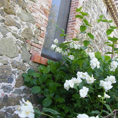 Agriturismo Il Giglio Oristano Exteriör bild