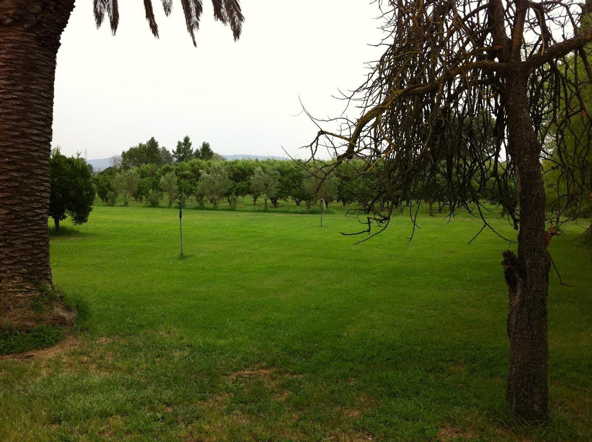 Agriturismo Il Giglio Oristano Exteriör bild