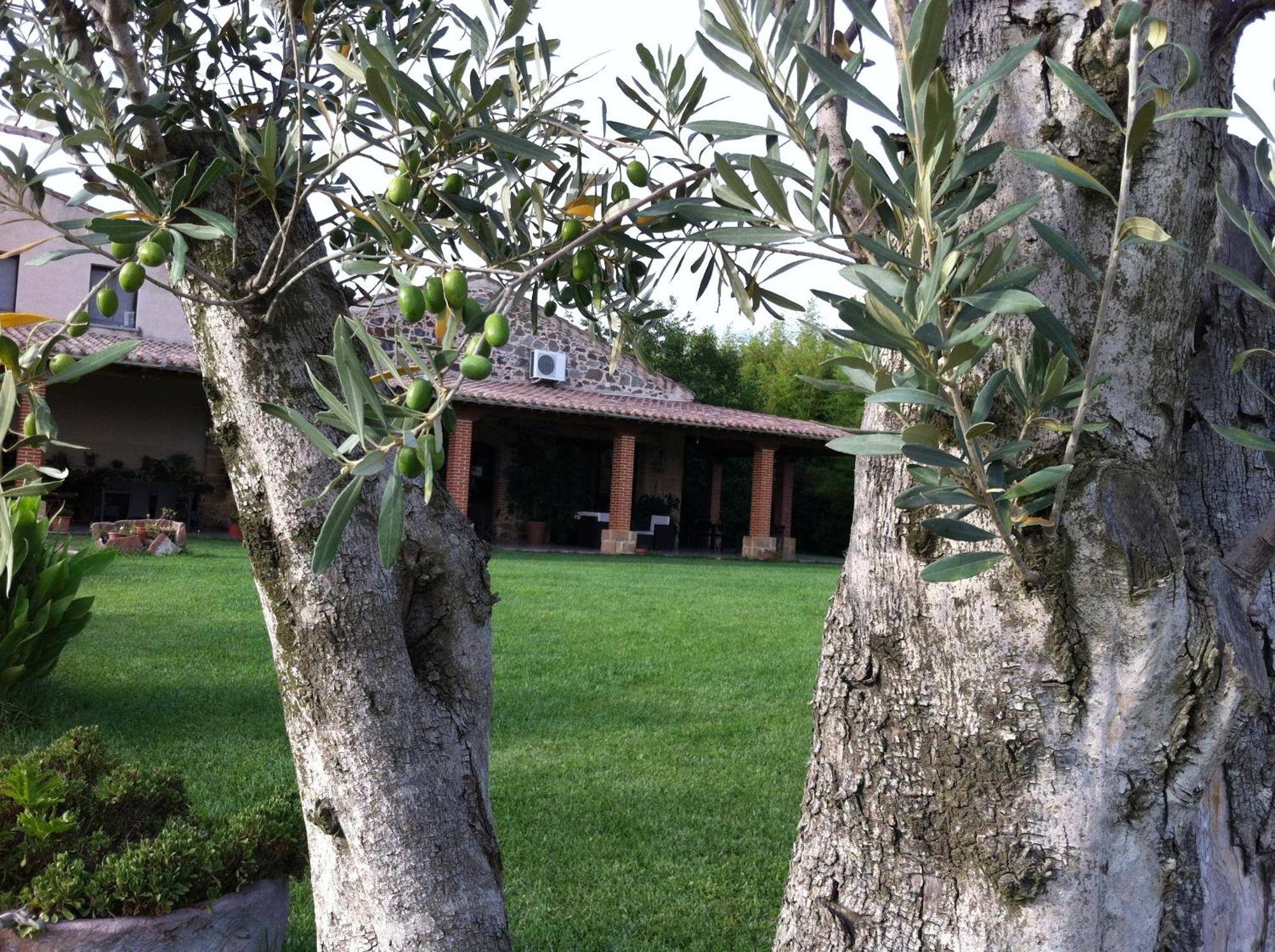 Agriturismo Il Giglio Oristano Exteriör bild